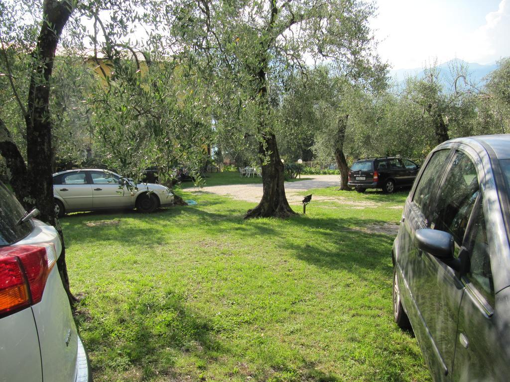 Hotel Carlo Brenzone sul Garda Eksteriør billede
